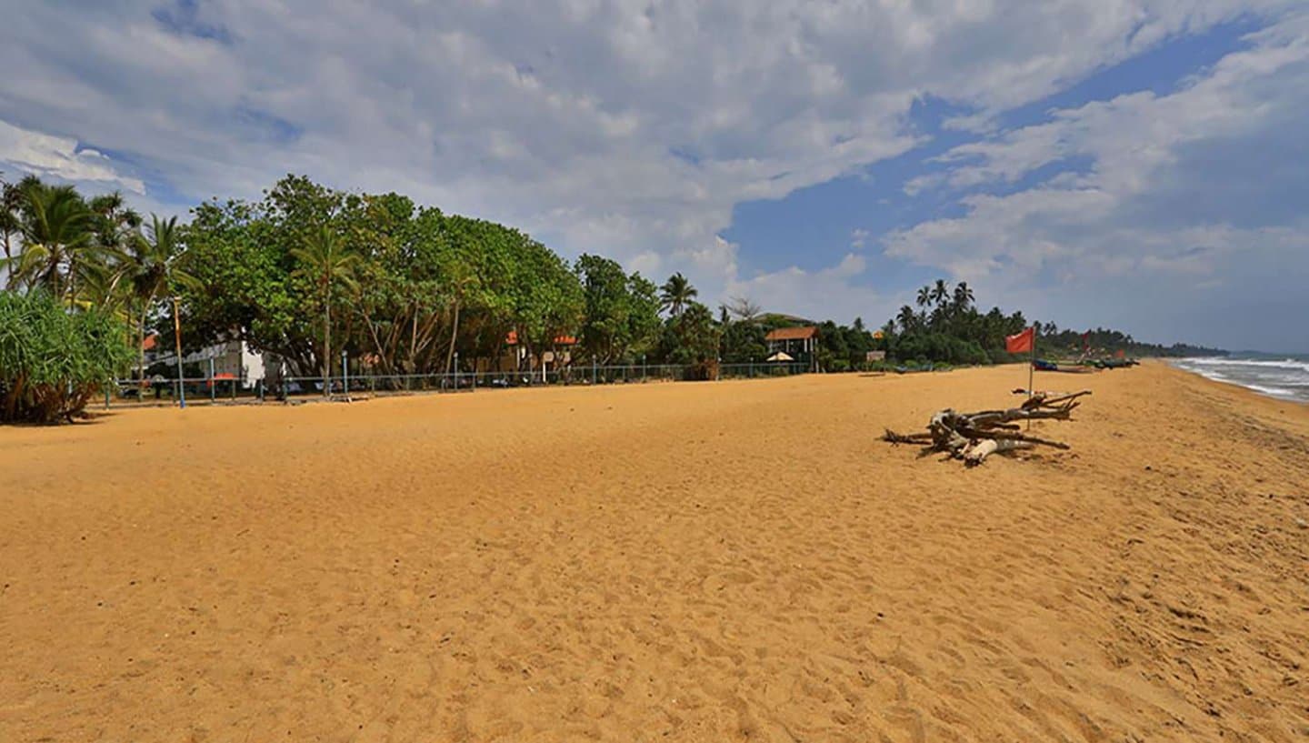 Hibiscus Beach, foto 11 no 12